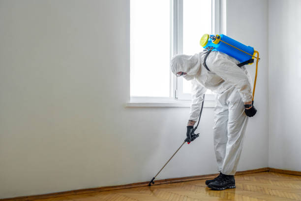 Best Emergency Pest Control  in Eastwood, MI